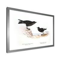 DesignArt 'Античка птица на Европа III' Традиционална врамена уметничка печатење