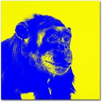 Заштитен знак Ликовна Уметност Шимпанзо Број 2 Платнена Уметност Од Клер Доерти