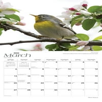 Календарот на плоштадот на плоштадот на природата Охајо од кафеава боја