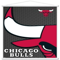 Чикаго Булс-Логото Ѕид Постер, 22.375 34