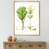 DesignArt 'Античко бразилско растение iii' Традиционално врамено платно wallидно печатење