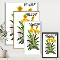 DesignArt 'Yellowолта гроздобер орхидеја' Традиционална врамена платна wallидна уметност печатење