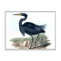 DesignArt 'Антички австралиски птици III' Традиционално врамено платно wallидно печатење